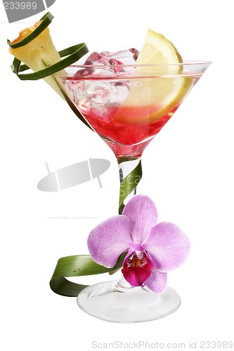 Image of Tropical Cocktail