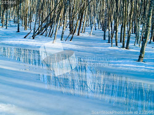 Image of Spring Reflections