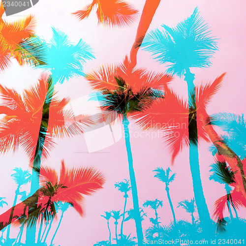 Image of Exotic Palm Trees Montage