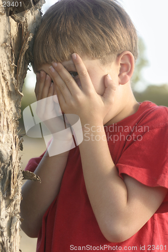 Image of Seek