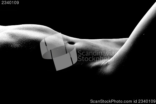 Image of Nude Bodyscape Images of a Woman