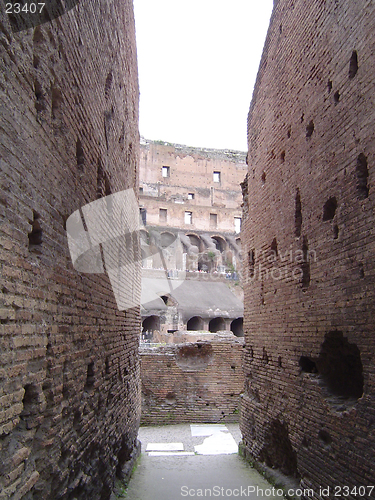 Image of Inside the Colosseum - Rome