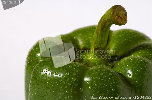 Image of Green pepper