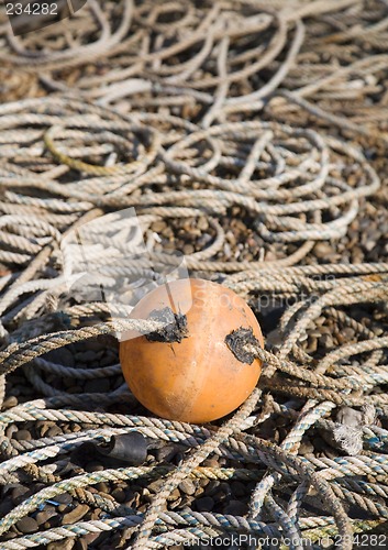 Image of buoy