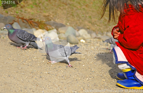 Image of Feeding pigeons