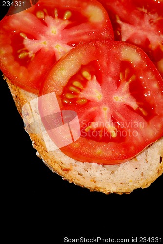 Image of Tomato sandwich