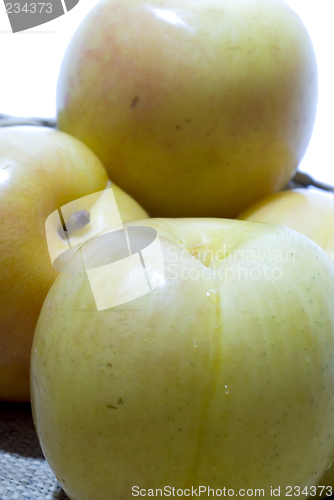 Image of yellow sungold plums