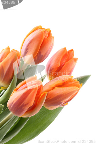 Image of spring