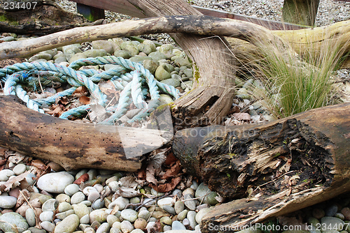 Image of driftwood