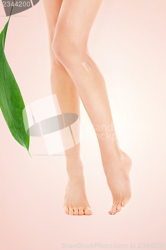 Image of female legs with green leaf
