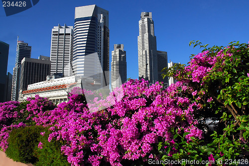 Image of bougainville and singapore skyline