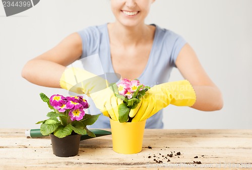 Image of housewife with flower in pot and gardening set