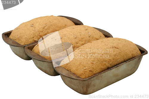 Image of Hearty Bread Rising - diagonal