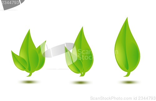 Image of illustration of green leaves