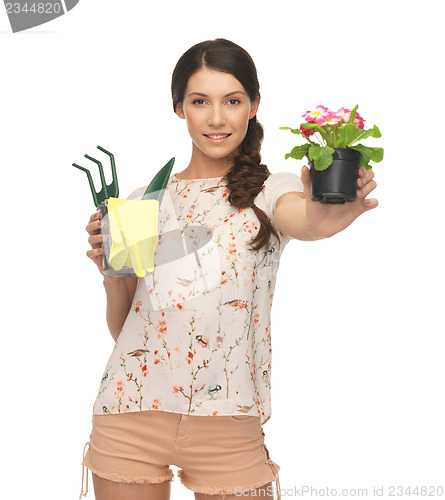 Image of housewife with flower in pot and gardening set