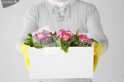 Image of man holding  big pot with flowers