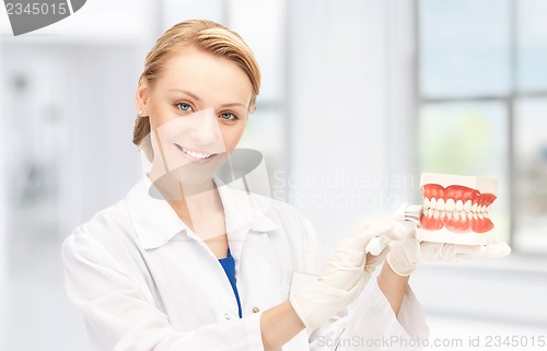 Image of doctor with toothbrush and jaws