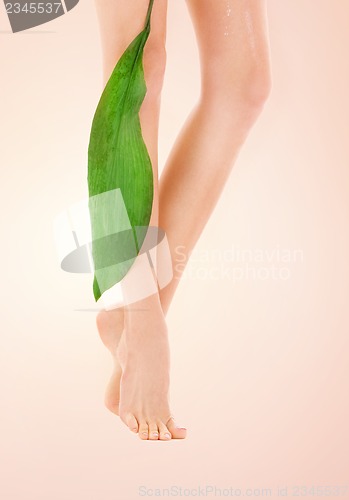 Image of female legs with green leaf