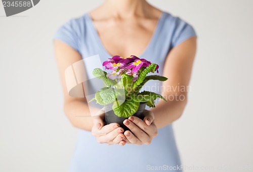 Image of woman's hands holding flower in pot