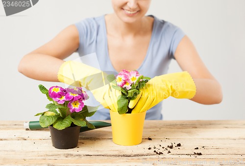 Image of housewife with flower in pot and gardening set