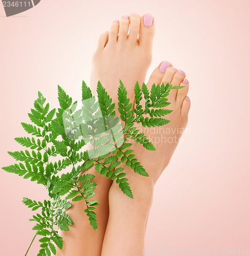 Image of female feet with green leaf