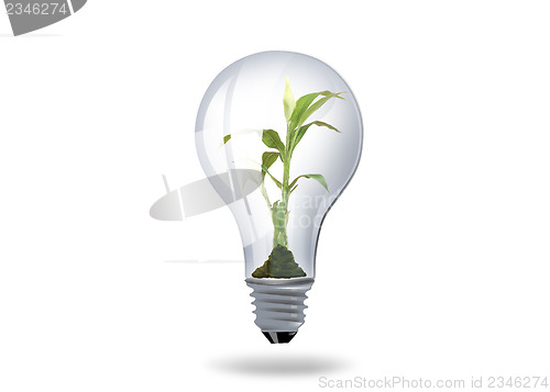 Image of light bulb with plant inside