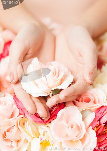 Image of woman's hands holding rose