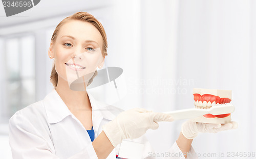 Image of doctor with toothbrush and jaws