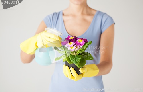 Image of woman holding pot with flower and spray bottle