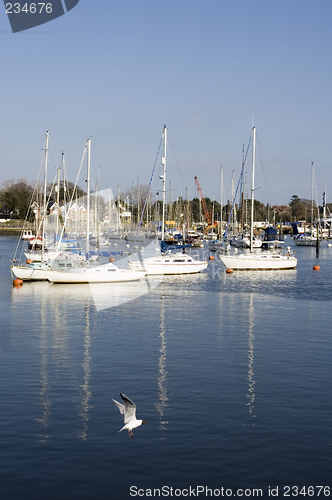 Image of Yachts in Harbour