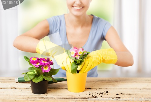 Image of housewife with flower in pot and gardening set