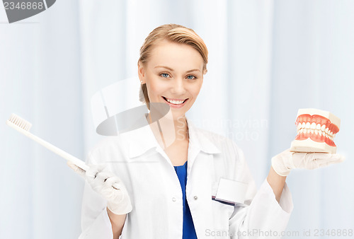 Image of attractive female doctor with toothbrush and jaws