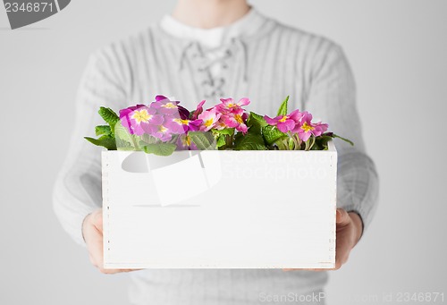Image of man holding  big pot with flowers