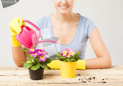 Image of housewife with flower in pot and watering can