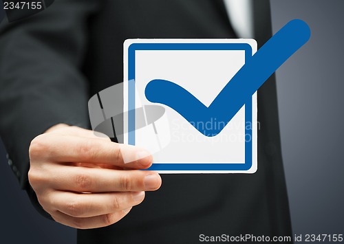 Image of closeup of checkbox and blue mark in it