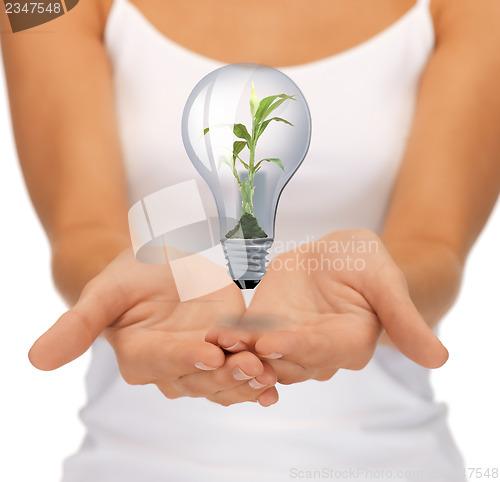 Image of hands with green light bulb