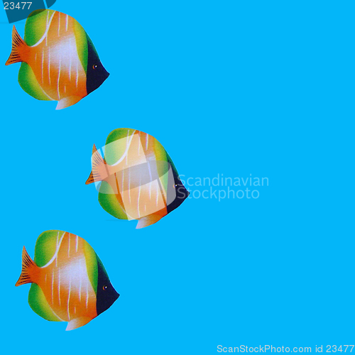 Image of Three Fish Swimming