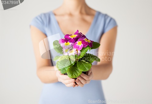 Image of woman's hands holding flower in pot