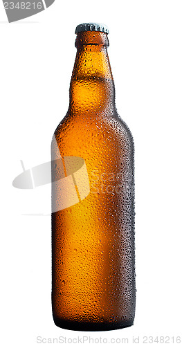 Image of perfect beer bottle on white background