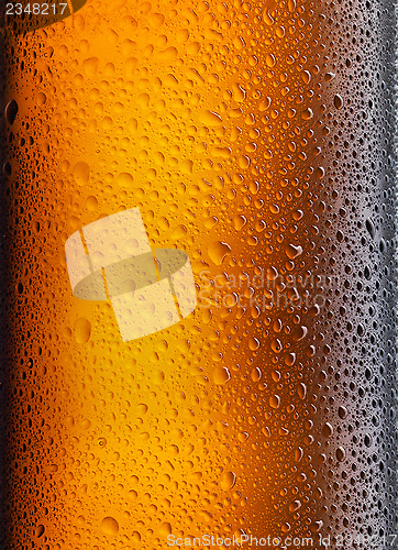 Image of perfect beer bottle on white background