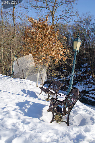 Image of retro bench lighting dry oak tree leaf snow winter 