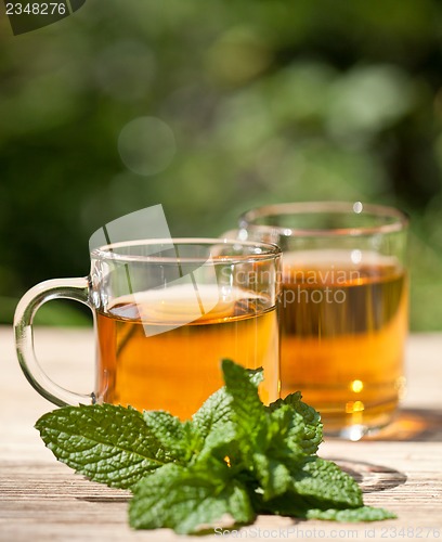 Image of herbal peppermint tea closeup macro outdoor summer