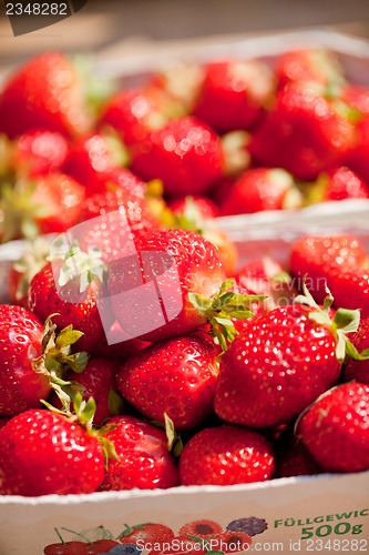 Image of fresh delicious strawberries macro