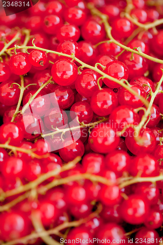 Image of fresh tasty red currant berries macro closeup on market outdoor