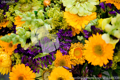 Image of beautiful colorful collection of flowers spring summer celebration