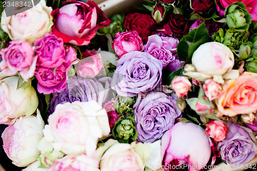 Image of beautiful colorful collection of flowers spring summer celebration