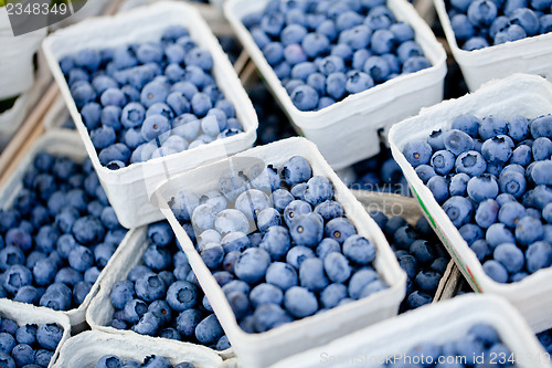 Image of healthy fresh blueberries macro closeup on market outdoor