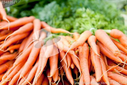 Image of fresh orange carrots on market in summer