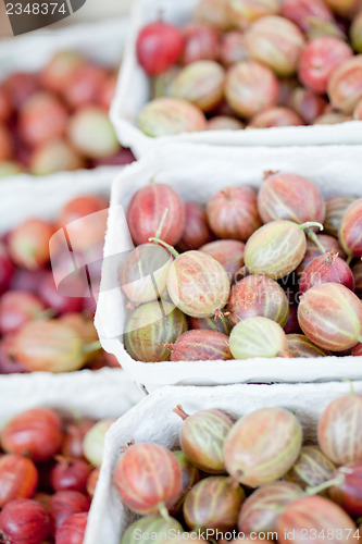 Image of fresh tasty gooseberries macro closeup on market outdoor