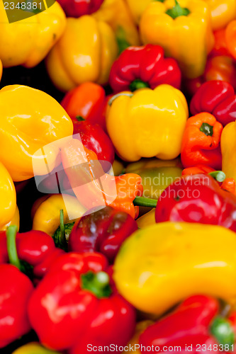 Image of fresh healthy red yellow geen paprika pepper macro closeup